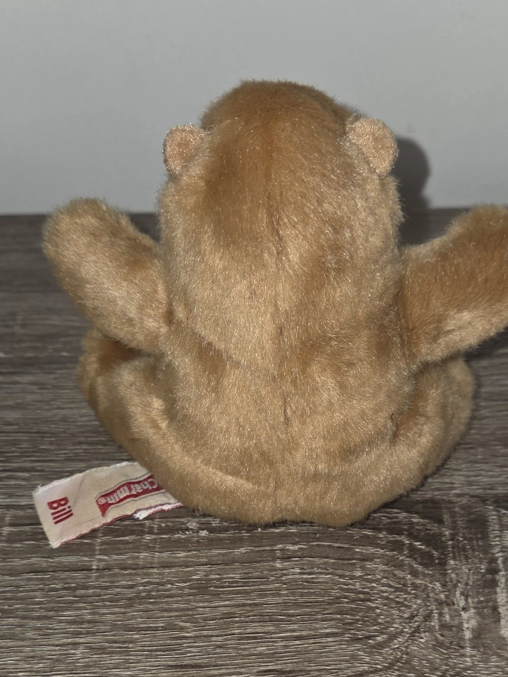 Charmin Plush 2005 Little Teddy Bear Bill 5.5